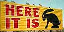 Signs 4K JPG