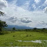 Arusha - 1