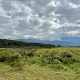 Arusha - 34