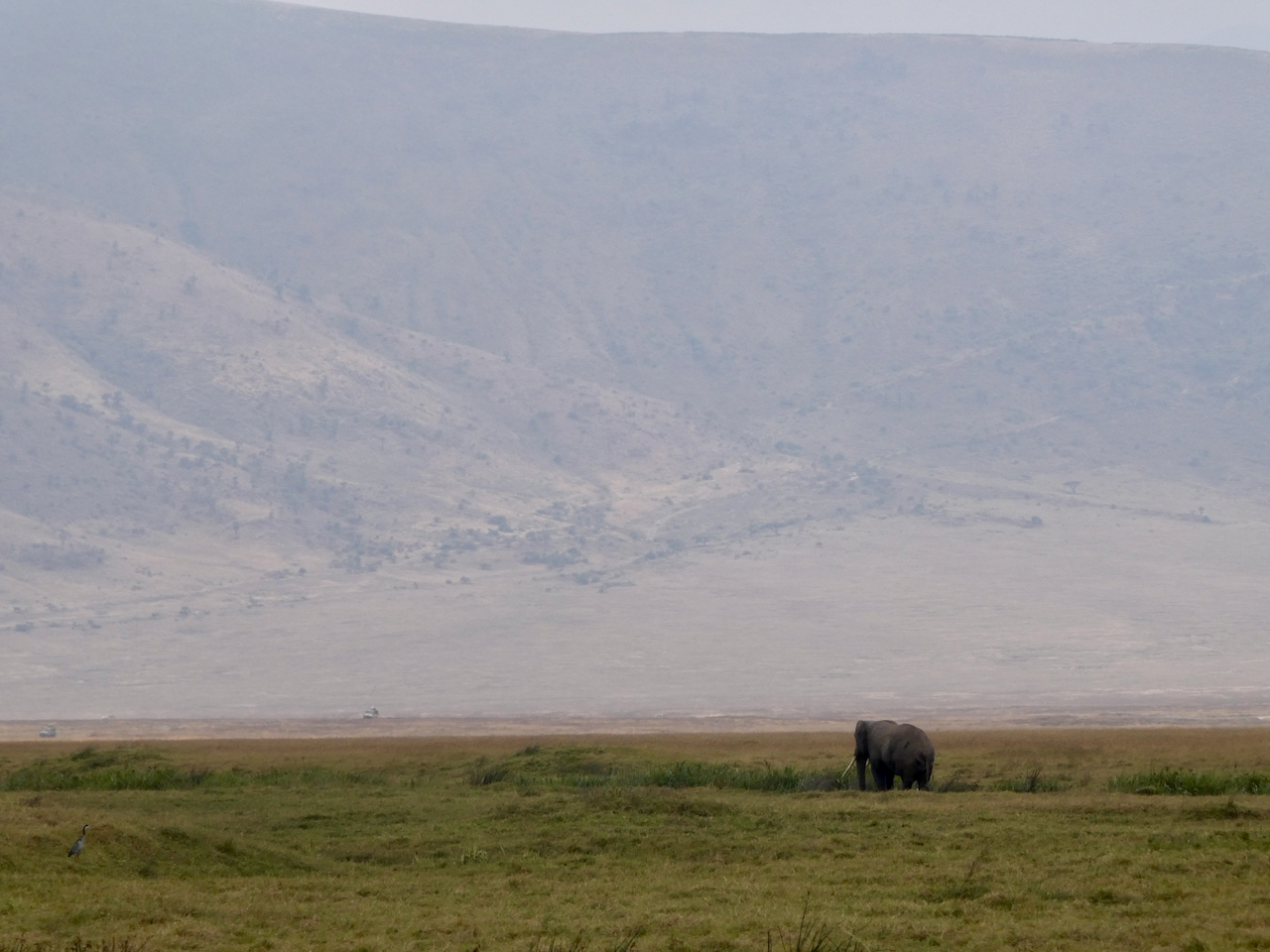 Ngorongoro - 113