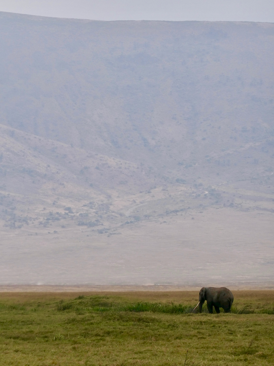 Ngorongoro - 114