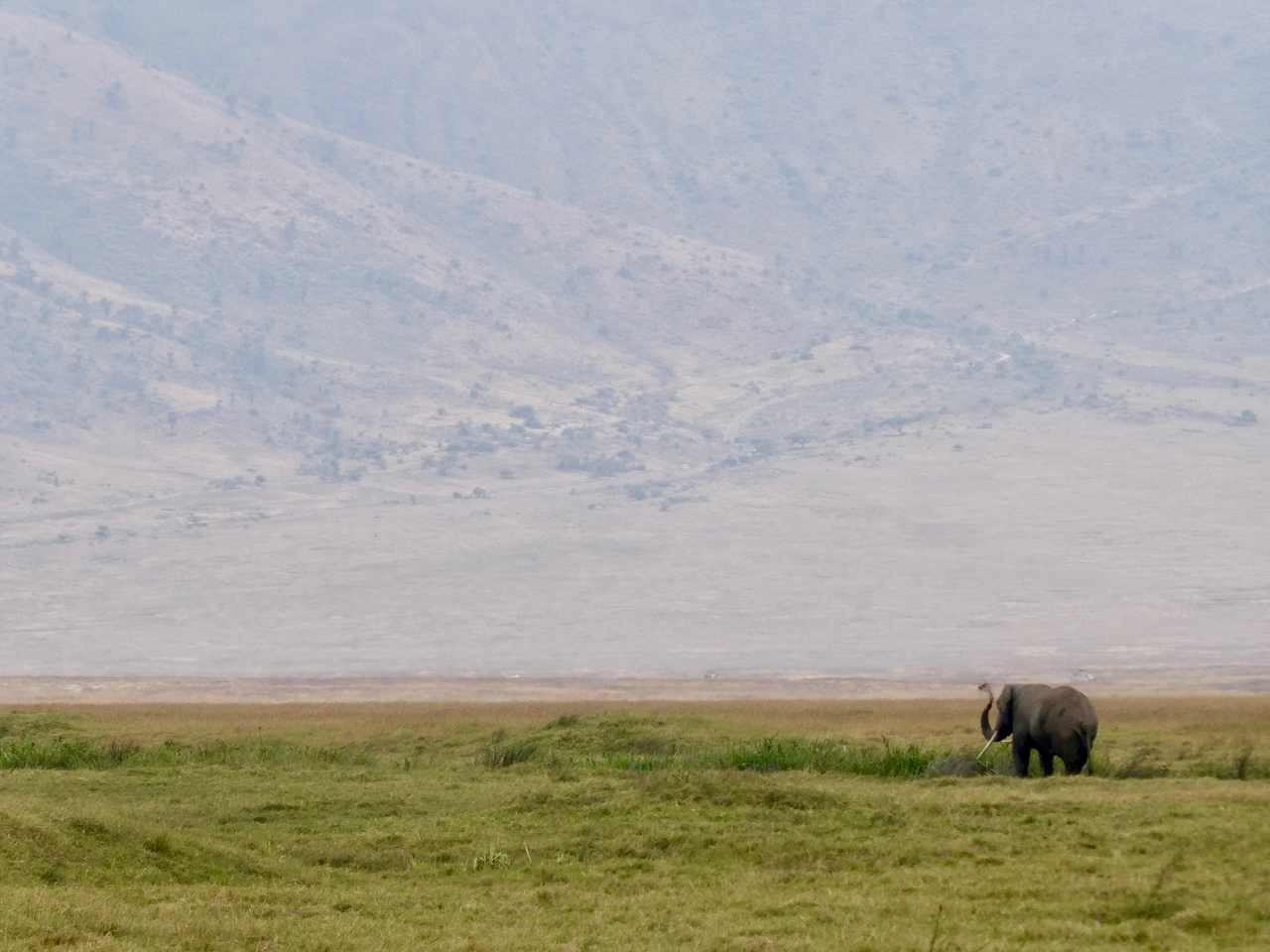 Ngorongoro - 115