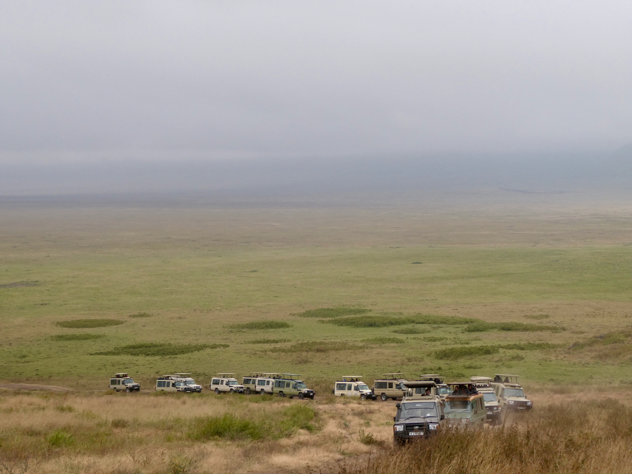 Ngorongoro - 43