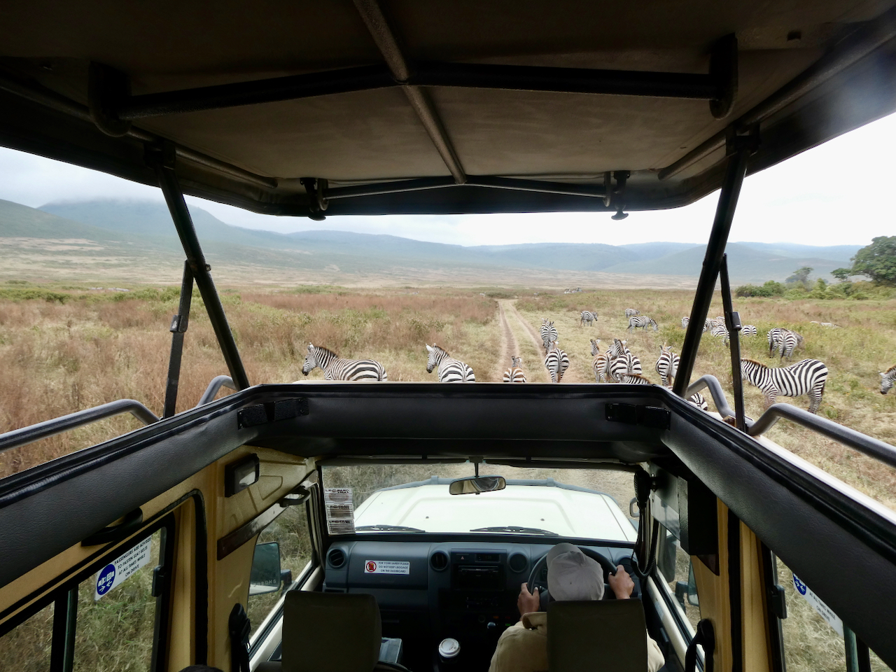 Ngorongoro - 58