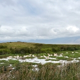 Ngorongoro - 112