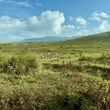 Ngorongoro - 12