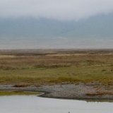 Ngorongoro - 27