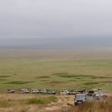 Ngorongoro - 43