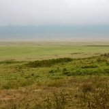 Ngorongoro - 44