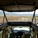 Ngorongoro - 58