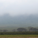 Ngorongoro - 93