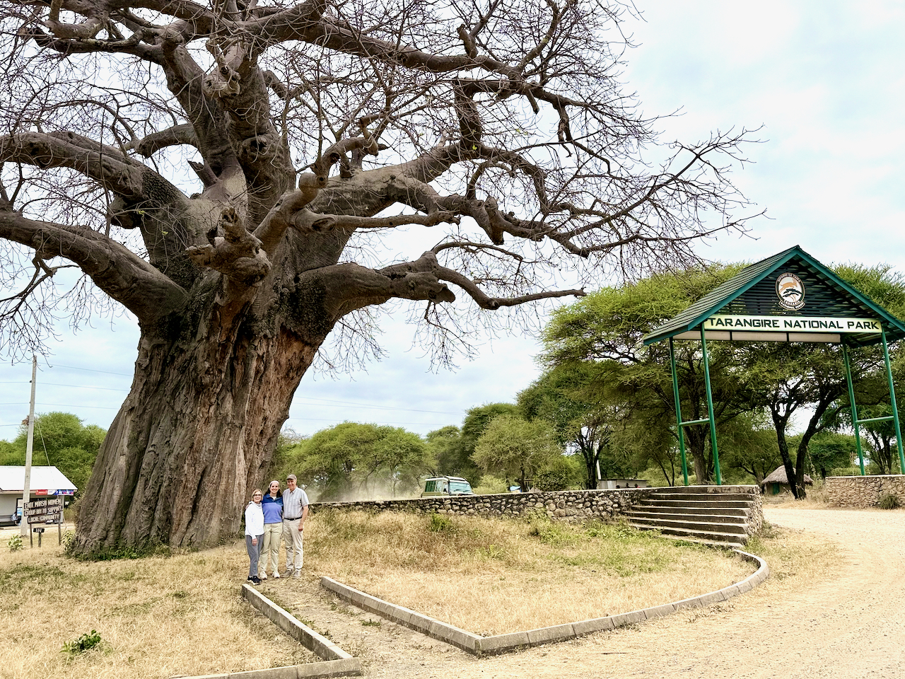 Tarangire C - 79
