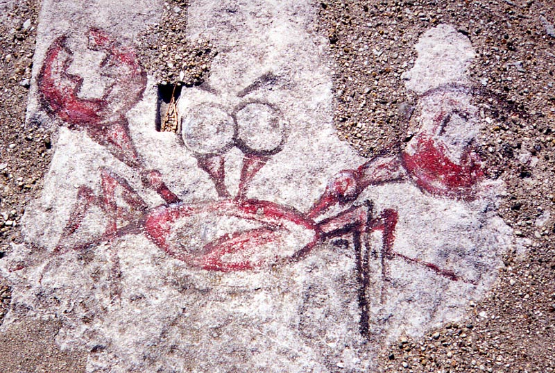 Lakefront drawing: Crab