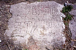 Lakeshore Carving: Don't Start