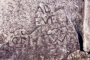 Lakeshore Carving: Hearts