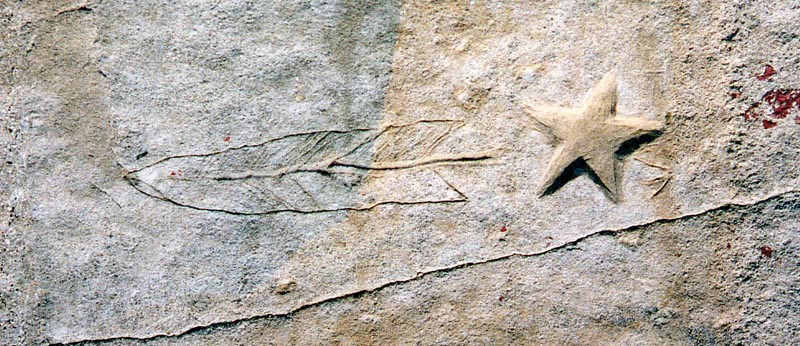 Lakefront carving: Feather and star