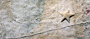 Lakeshore Carving: Feather