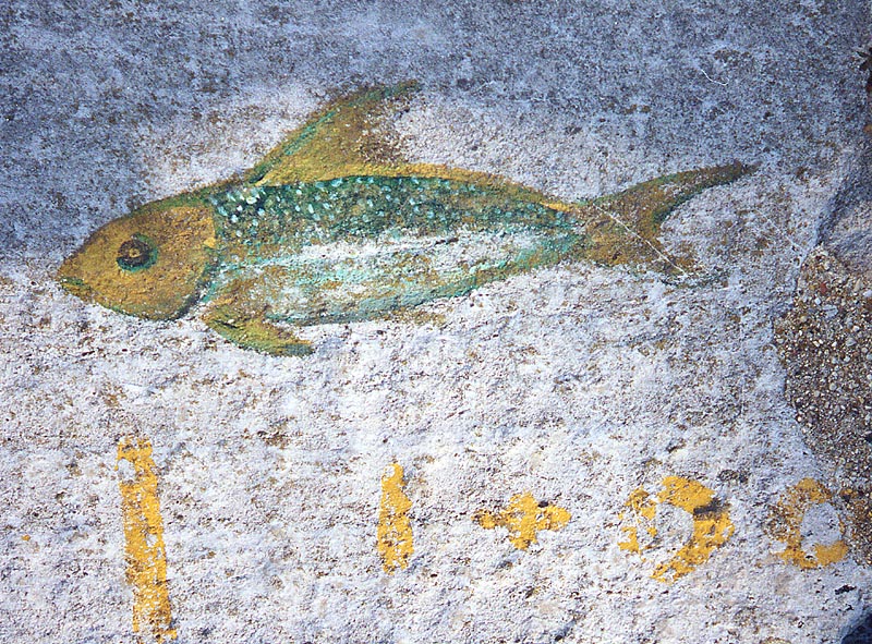 Lakefront drawing: Fish