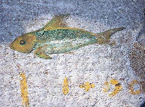 Lakeshore Drawing: Fish