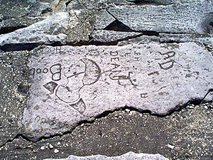 Lakeshore Carving: Beauty