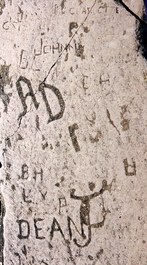 Lakeshore Carving: Flapper