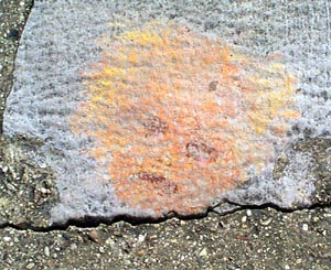 Lakeshore Drawing: Fuzzy face