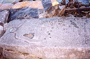 Lakeshore Carving: Montrose Giant