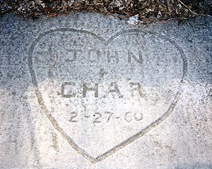 Lakeshore Carving: Heart