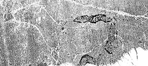 Lakeshore Carving: Horse