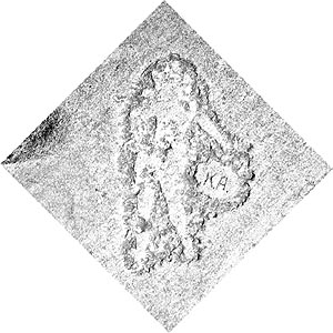 Lakeshore Carving: Beauty