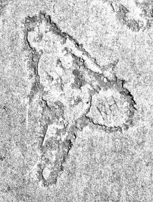 Lakefront carving: Lady