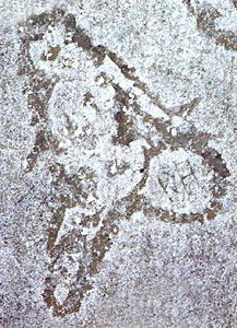 Lakeshore Carving: Beauty