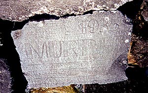 Lakeshore Carving: Murph