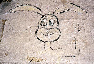 Lakeshore Drawing: Rabbit