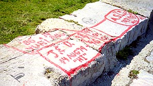 Lakeshore Drawing: Phallic