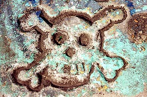 Lakeshore Carving: Skull