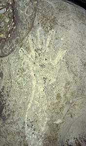 Lakeshore Carving: Hand