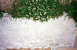 Lakeshore Carving: Names