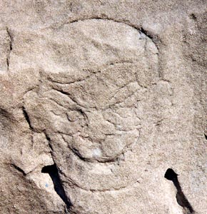 Lakeshore Carving: Pirate