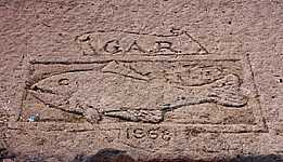 Lakeshore Carving: Fish