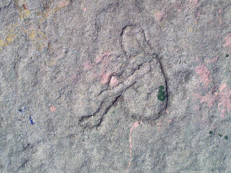 Lakefront Carving: Bathing Beauty