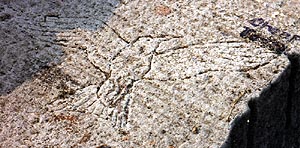 Lakeshore Carving: Bird