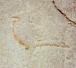 Lakeshore Carving: Bird