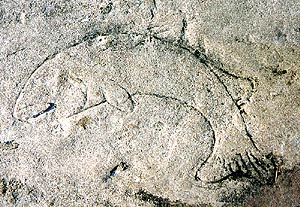 Lakeshore Carving: Fish