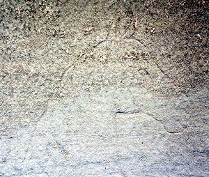 Lakeshore Carving: Horse