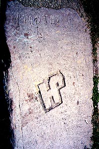 Lakeshore Carving: Big R