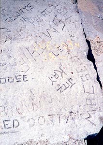 Lakeshore Carving: Names