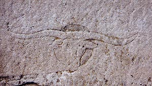 Lakeshore Carving: Steer