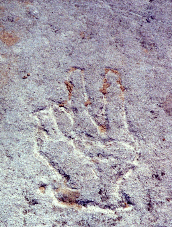 Lakeshore Carving: Peace Sign