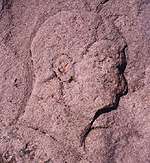 Lakeshore Carving: Profile